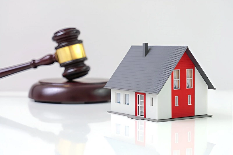 Auction Opportunities